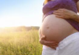 Барсучий жир при беременности: состав и особенности применения Схемы использования лекарственного продукта